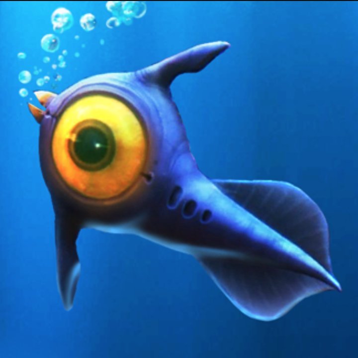 peeper